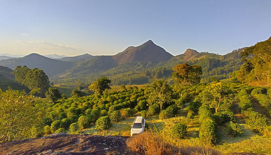 Een inkijkje in de Braziliaanse Fazenda Sao Francisco Bela Vista